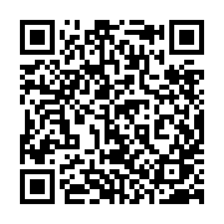 QR code for 381ZHS