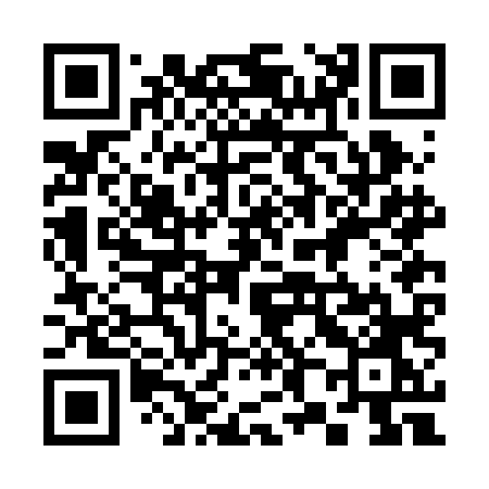 QR code for 382BLO