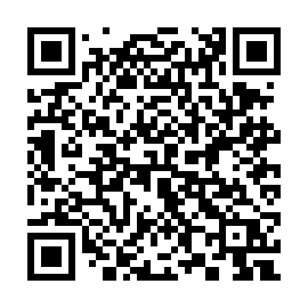 QR code for 382DBP