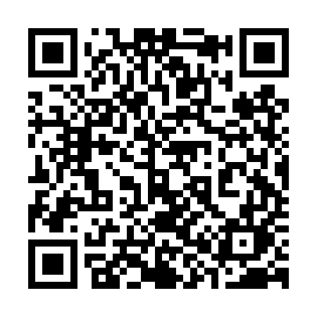 QR code for 382DUL