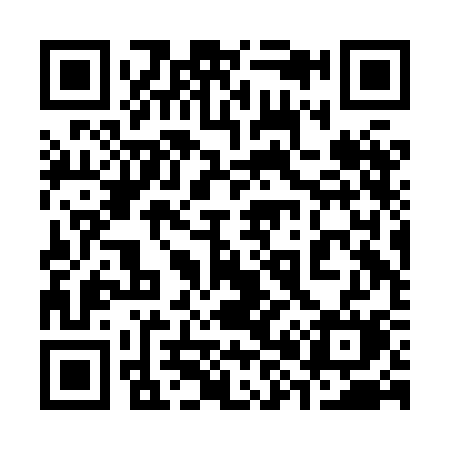 QR code for 382HCM