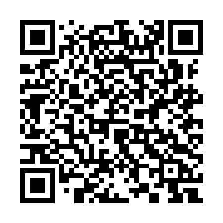 QR code for 382IDC