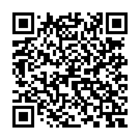 QR code for 382LFG