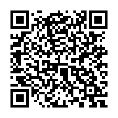 QR code for 382OCG