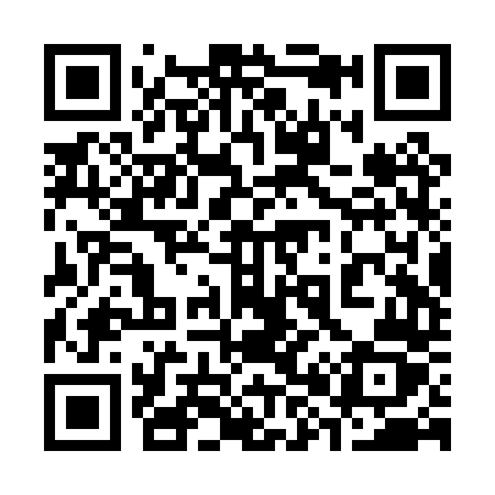 QR code for 382PTZ