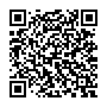 QR code for 382TEX
