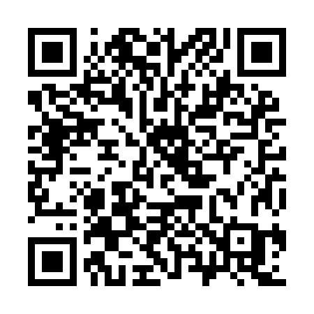 QR code for 382YJC