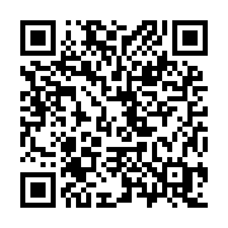 QR code for 382YJG