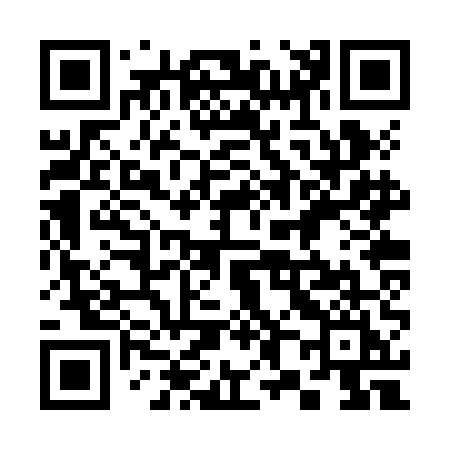 QR code for 382ZEI