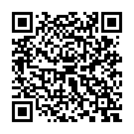 QR code for 383FFM