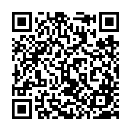 QR code for 383FTN