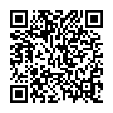 QR code for 383HAO