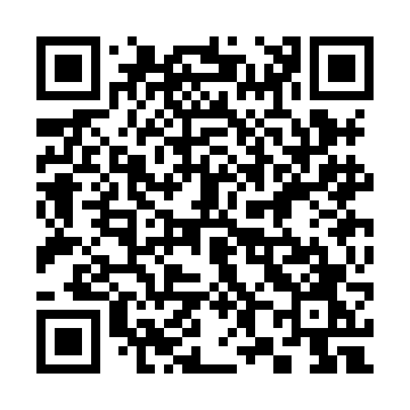 QR code for 383HFO