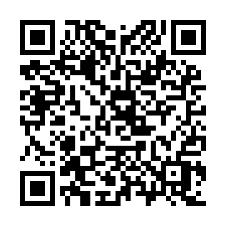 QR code for 383IAV