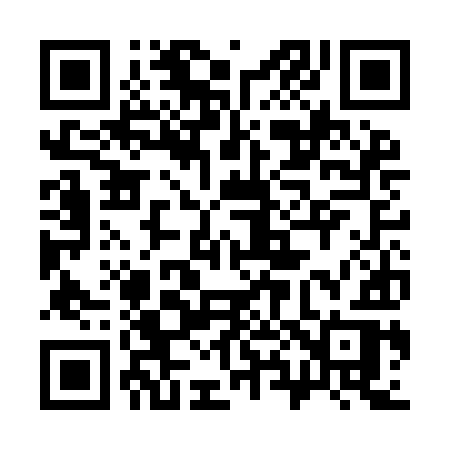 QR code for 383IIR