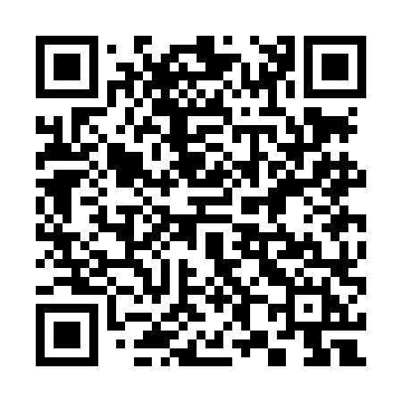 QR code for 383LLH