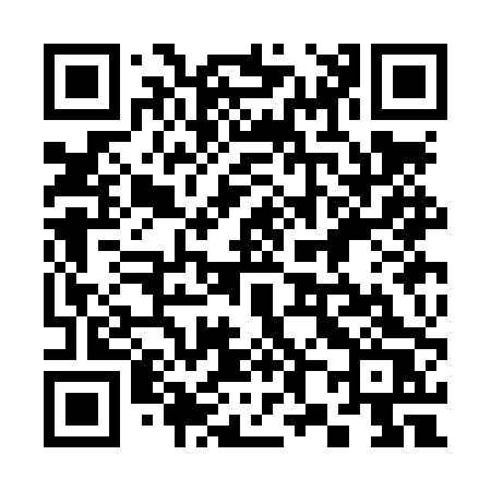 QR code for 383LPS