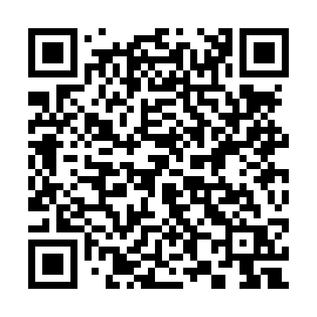 QR code for 383LSR