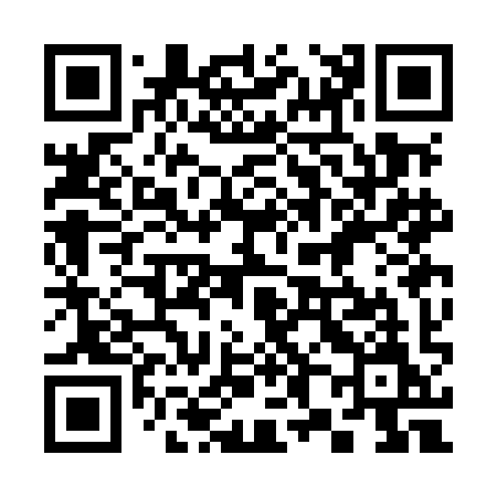 QR code for 383MIM
