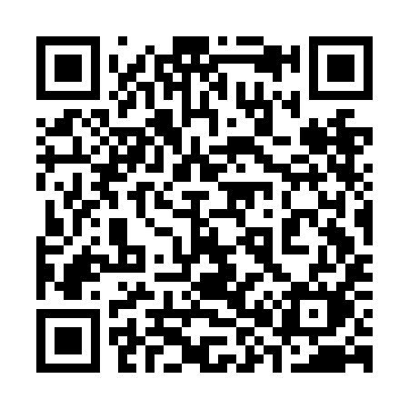 QR code for 383NIM