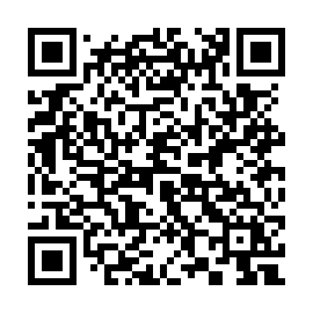 QR code for 383OVX