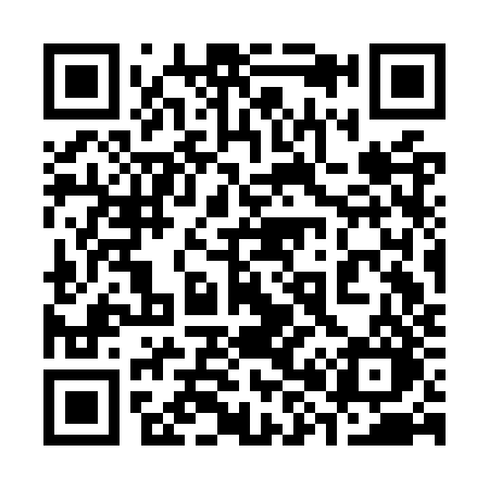 QR code for 383OZO