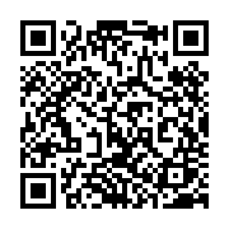 QR code for 383POS