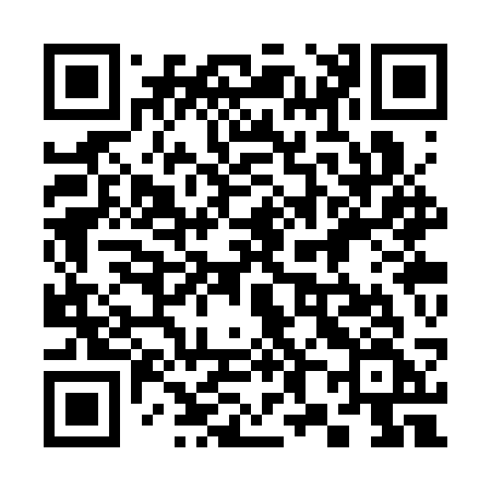 QR code for 383SSF