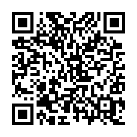 QR code for 383SYG
