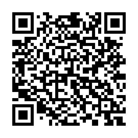 QR code for 383TSC