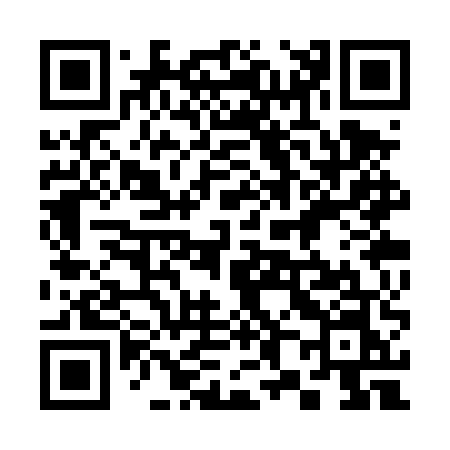 QR code for 383TUN