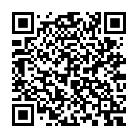 QR code for 383VKI