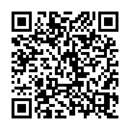 QR code for 383YGR