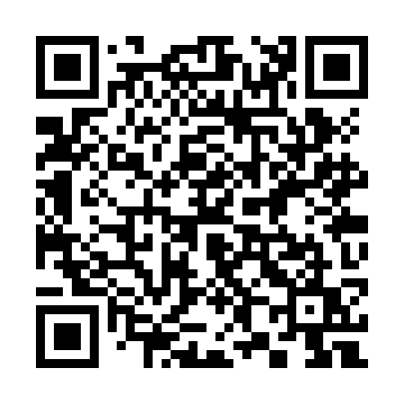 QR code for 383ZKU