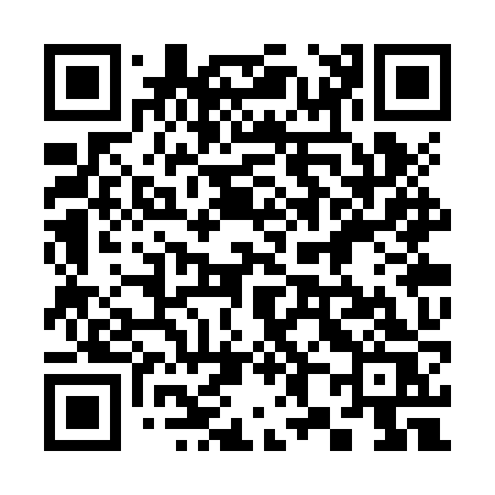 QR code for 383ZZS