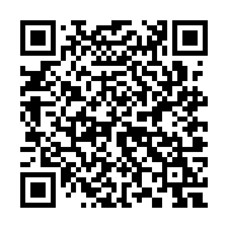 QR code for 384AOM