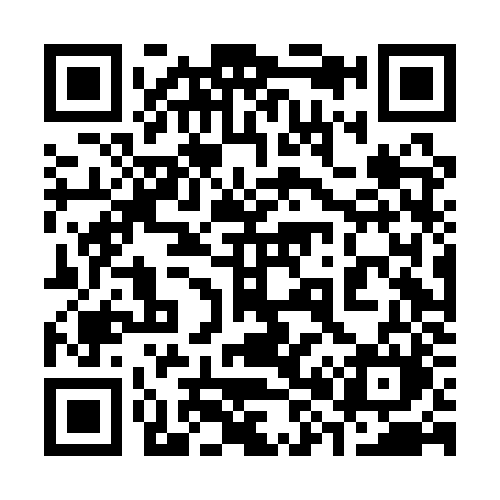 QR code for 384AZM