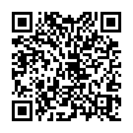 QR code for 384CES