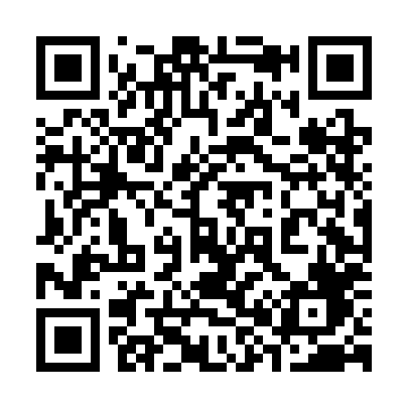 QR code for 384CHF