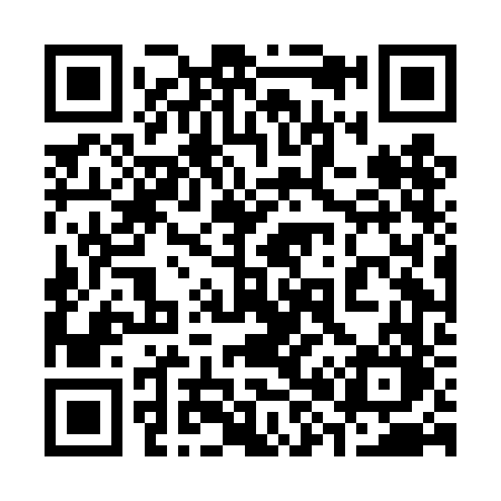 QR code for 384DFO