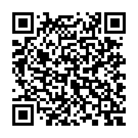 QR code for 384DHE