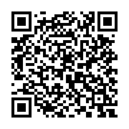 QR code for 384DUN