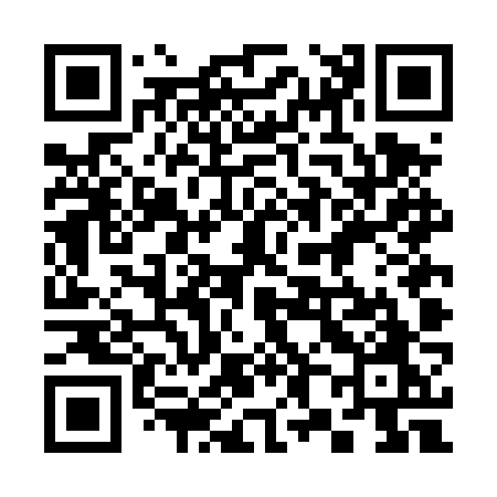QR code for 384DZO