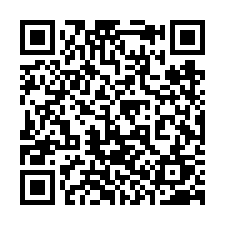 QR code for 384FST