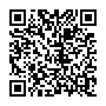 QR code for 384GAL