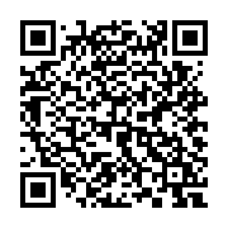 QR code for 384GPU