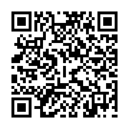 QR code for 384IQT