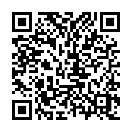QR code for 384LIX