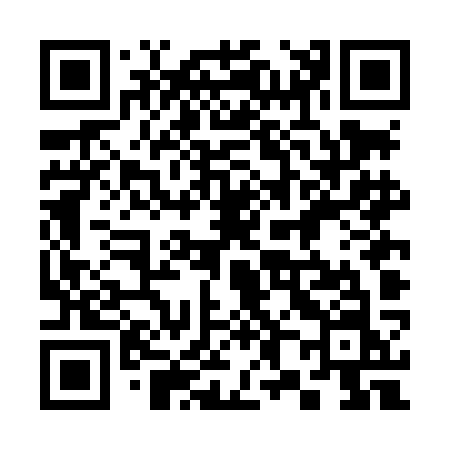 QR code for 384LKN