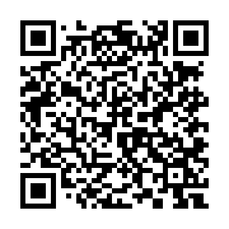 QR code for 384LLN